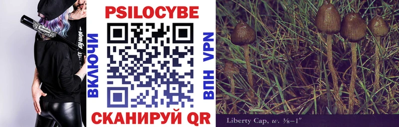 Псилоцибиновые грибы ЛСД  Купить закладки  Советская Гавань 