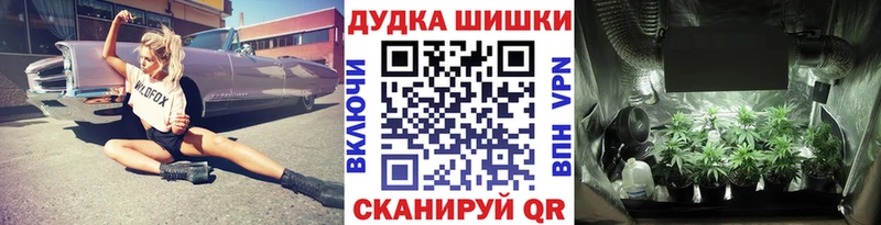 Конопля тримм  Купить закладки  Советская Гавань 